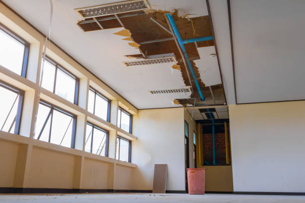 Best Water damage restoration near me  in Ellington, MO