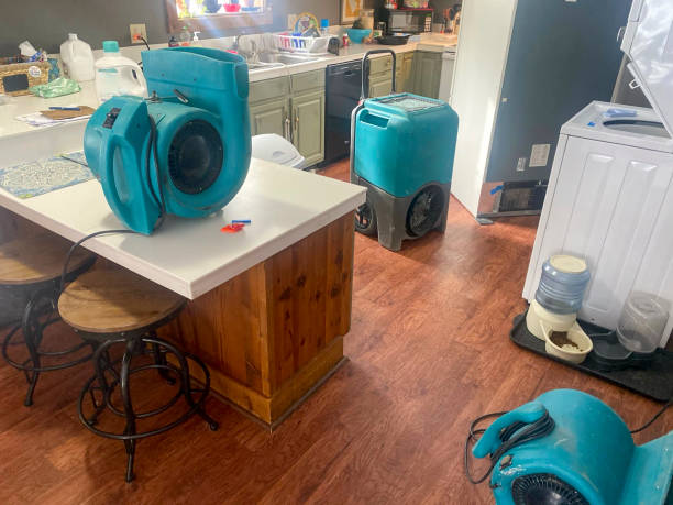 Best Emergency water damage restoration  in Ellington, MO