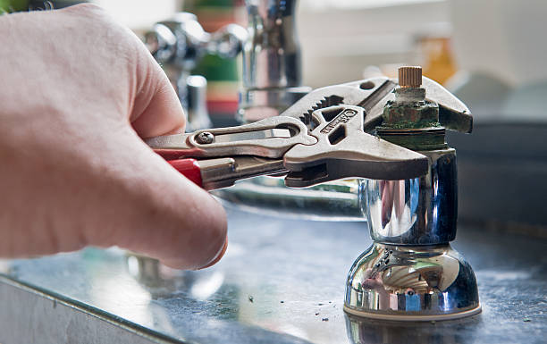 Best Mold removal after water damage  in Ellington, MO
