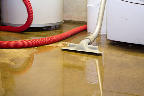 Best Residential water damage restoration  in Ellington, MO
