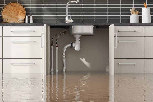 Best Mold removal after water damage  in Ellington, MO