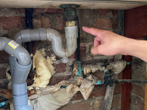 Best Professional water damage repair  in Ellington, MO