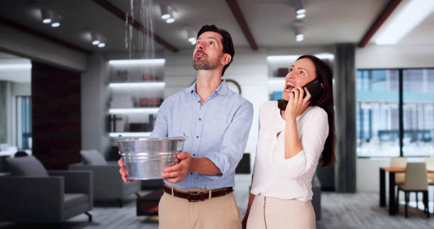 Best Sewage cleanup and water damage restoration  in Ellington, MO
