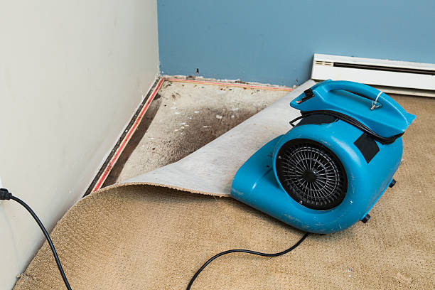 Best Sewage cleanup and water damage restoration  in Ellington, MO